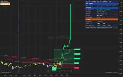 NG, natural gas