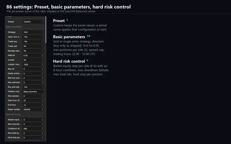 Blaze Synchro for cTrader: the first parameter groups