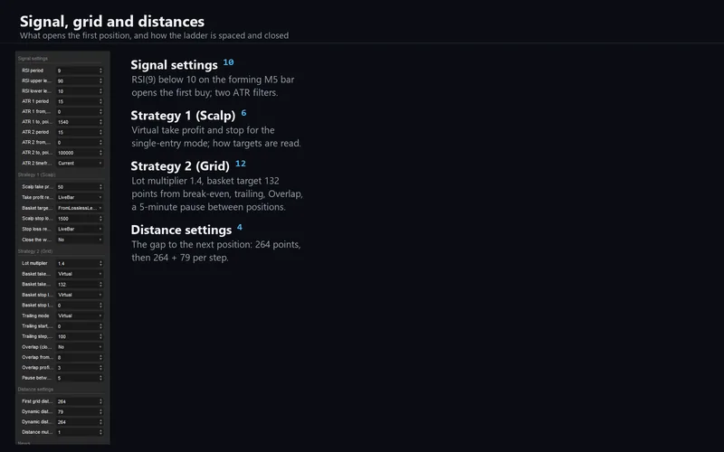 Blaze Synchro for cTrader: the signal, grid and distance parameters