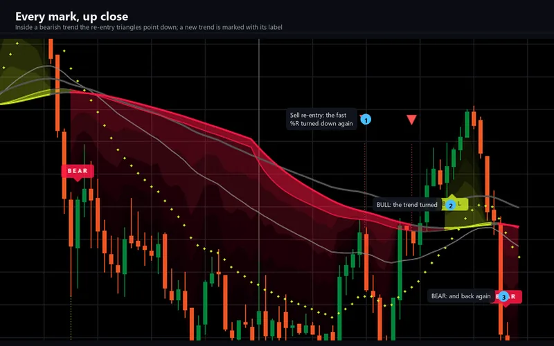 Corex Smart Bear Bull for cTrader: Every mark, up close