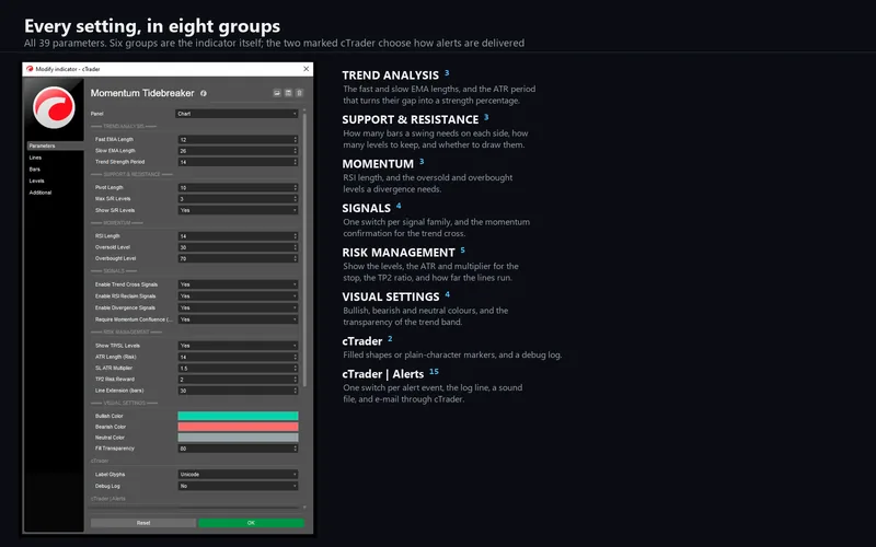 Momentum Tidebreaker for cTrader: Every setting, in eight groups